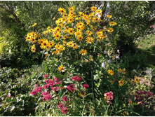 ��������� ������ ����