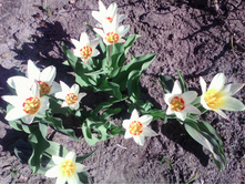 IMG 20170501 145455.jpg