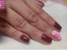 ������� ������ NVi_700���.