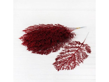 ����� ��� ��41 ��.