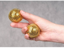 F 0116 ���������� ������������� � ���� ���� (� �������� � ������) ������,�������