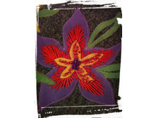 IMG 20181031 181408 829.jpg