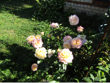 ���� "������ ���"