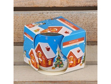 �����-������ 71/01 Zima