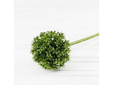 �����-��� �� � �̣������