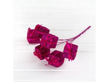 ������� �� ���� (6��/��)