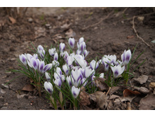 ������� �� ������� ���. oliskaAvto