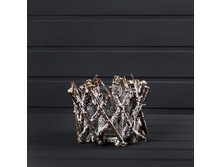 ���������� ����������