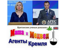 ���� � ������� - ������ ������