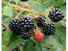 IMG 20180818 120214.jpg