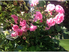 ���� �������������� ����� - ������...