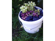 �� ����.