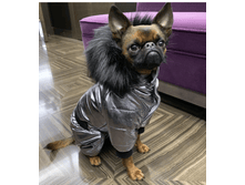 IMG 20181123 094030.png