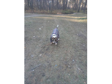 ����� 1.jpg