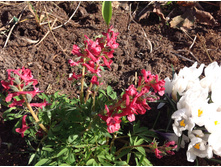 �������� �������