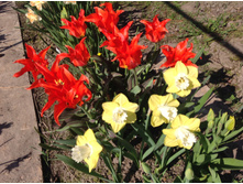 �������� ����� ���������