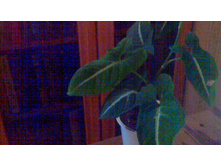 ��������� ��������