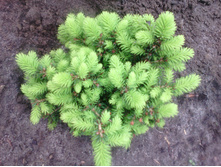 IMG 20170617 161250.jpg