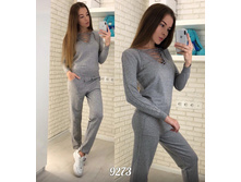 ������ 9273
