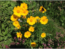 ��������� ��������������