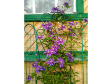 IMG 20180708 184340.jpg