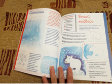 IMG 20181104 180321.jpg