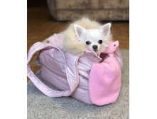 IMG 20181126 093431.png