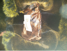 IMG 20181125 103532.jpg