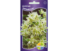 ������� ����������� ������ ����