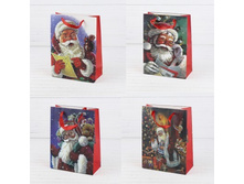 ����� ���. � ������. � ��������� (24,5*19,6*9)