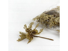 ���� �� ������� � ������ �����.