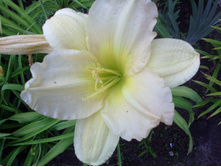 IMG 20160723 201859.jpg