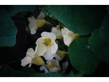 ���������.���� �������. ����������� ����� "��������� ������"!