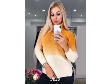 ����� 9629