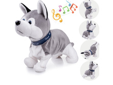 ���� ������� � ������� ��� ���� �������, ����, �������, ������ �� ������ � �������� ����, �������