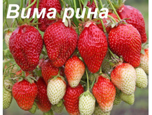 ���� ���� ��������� �������(��������) � �2  143�