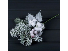 ���� ������ � ������� ��������.