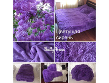 ���� 1025 � 220 �� 240 ��
