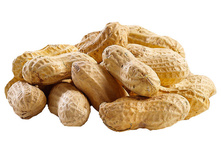 ������ � ��������