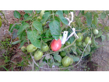 ������, ��� �� ������