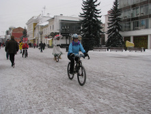 IMG 8911.jpg