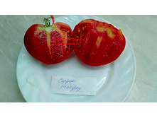 ������ �������, �����