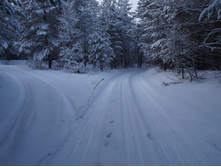 ������� �����������.