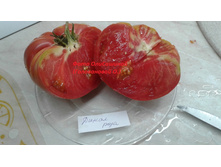 ����� ����