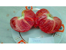 �����, �����