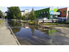 IMG 20180708 173917.jpg