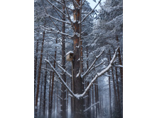 � ����� ������ �����������.