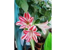 ����������� 30.11.2018�.