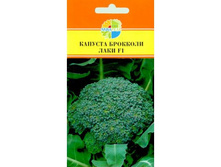 ������� �������� ���� F1