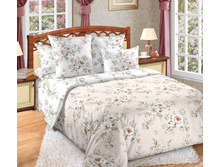 �������� 4 ����� 220 �� ������